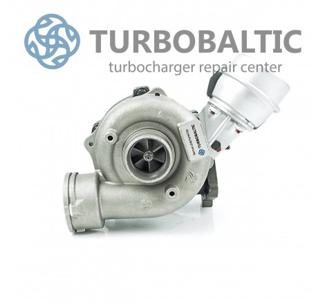 Turbocharger Turbo 53039880195